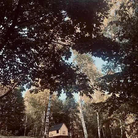 Glamping Rifugio Dusman Pian Pietro
